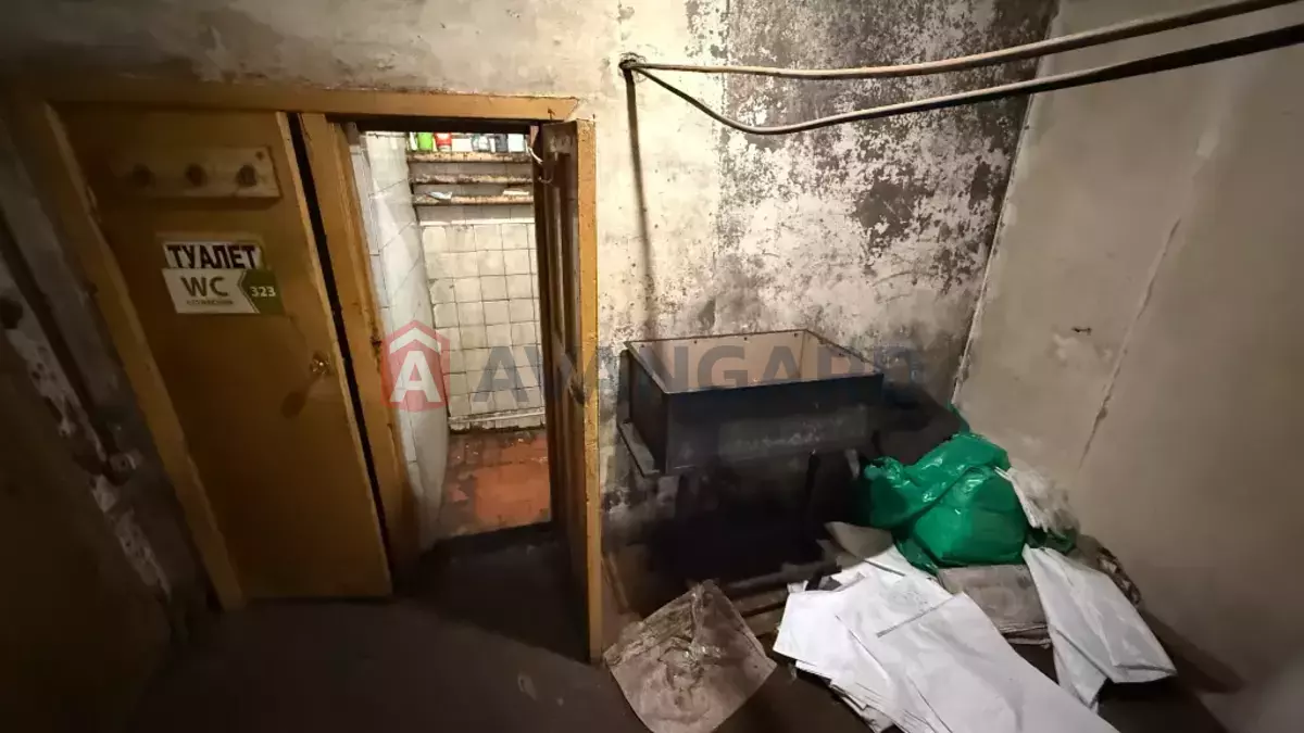 ���������� �����, 300 ��.�. ���� 24