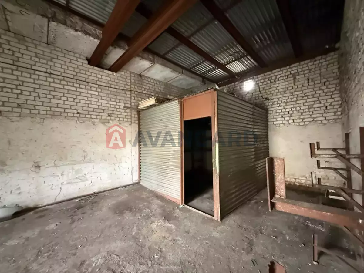 ���������� �����, 98 ��.�. ���� 5