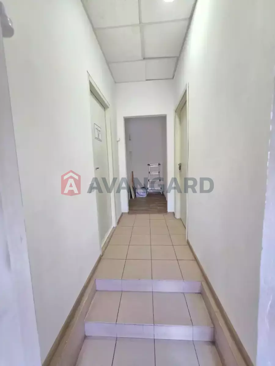 ����� �����, 13 ��.�. ���� 11