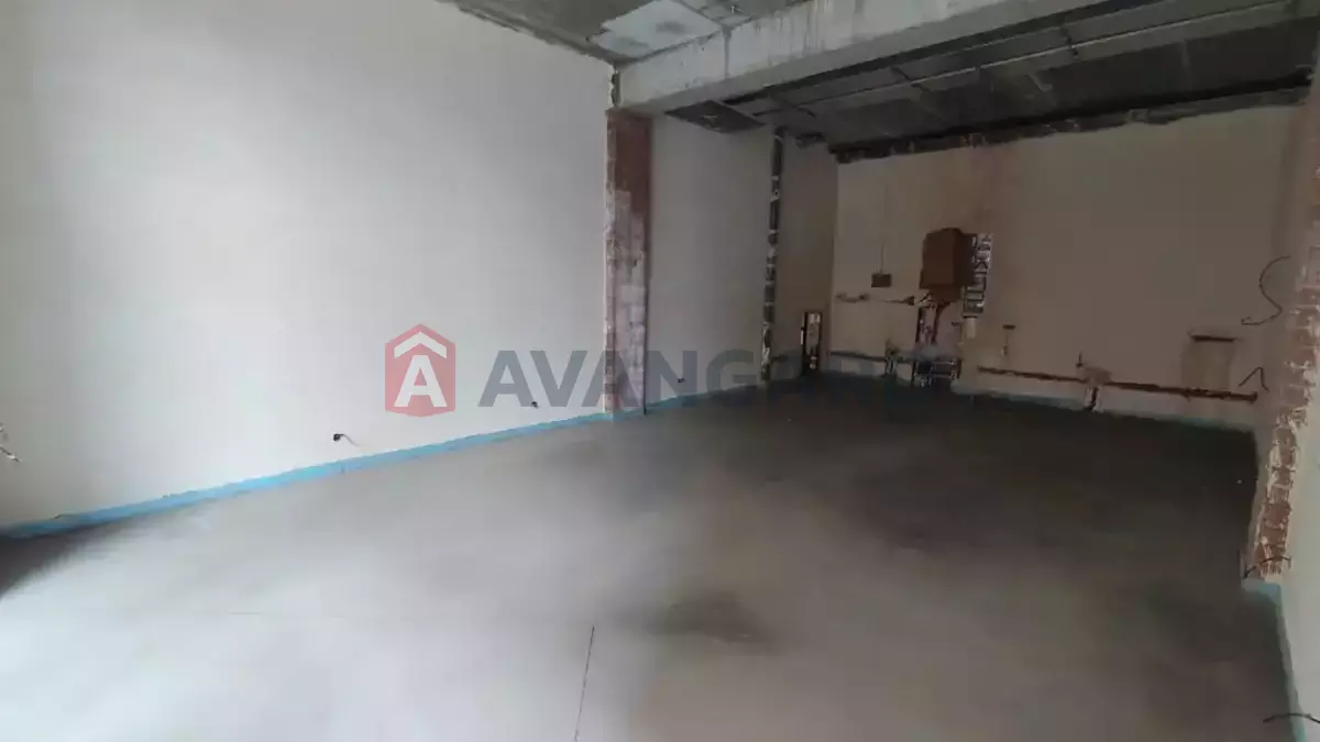 ���������� �����, 56 ��.�. ���� 1