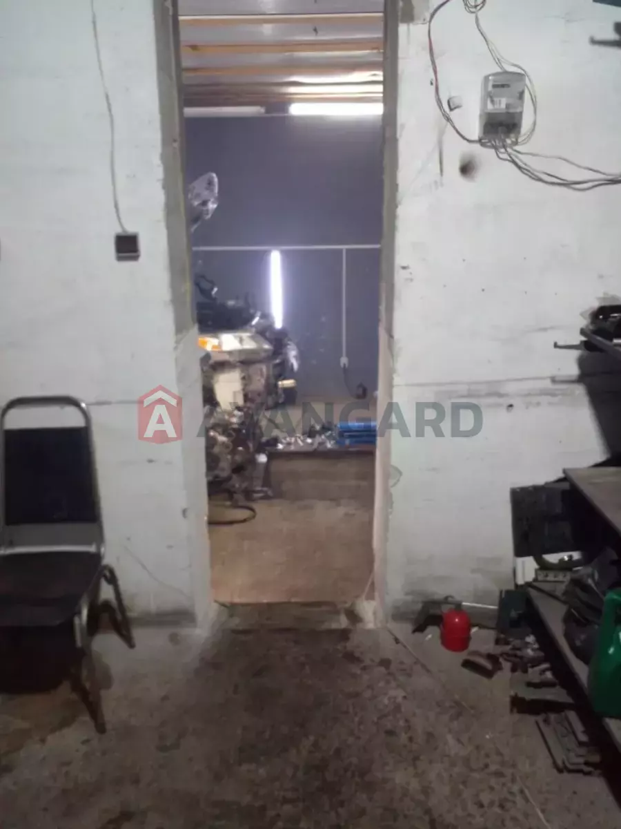 ����� �����, 260 ��.�. ���� 8