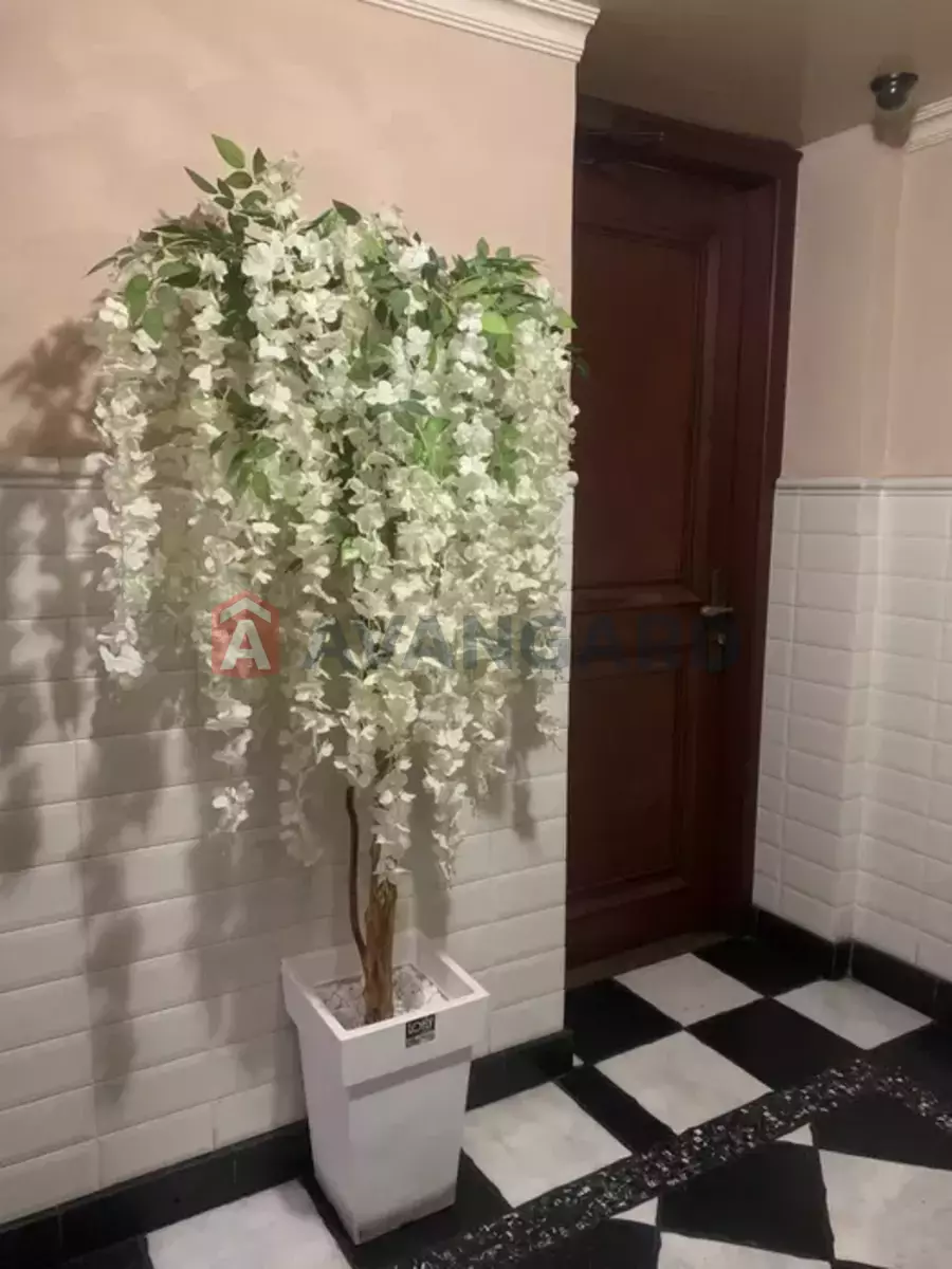 ����, ���, ��������, 200 ��.�. ���� 15