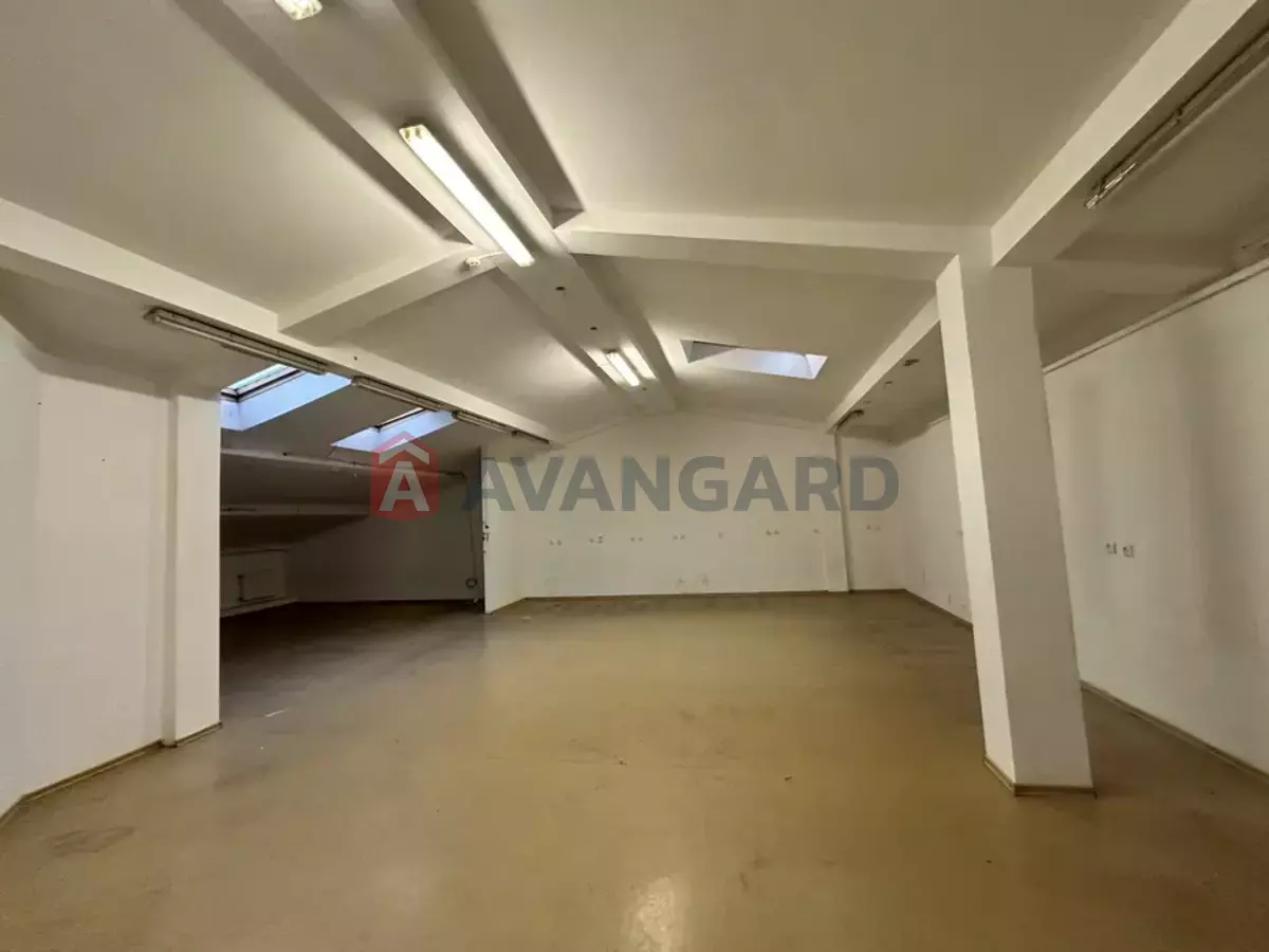 ���������� �����, 50 ��.�. ���� 3