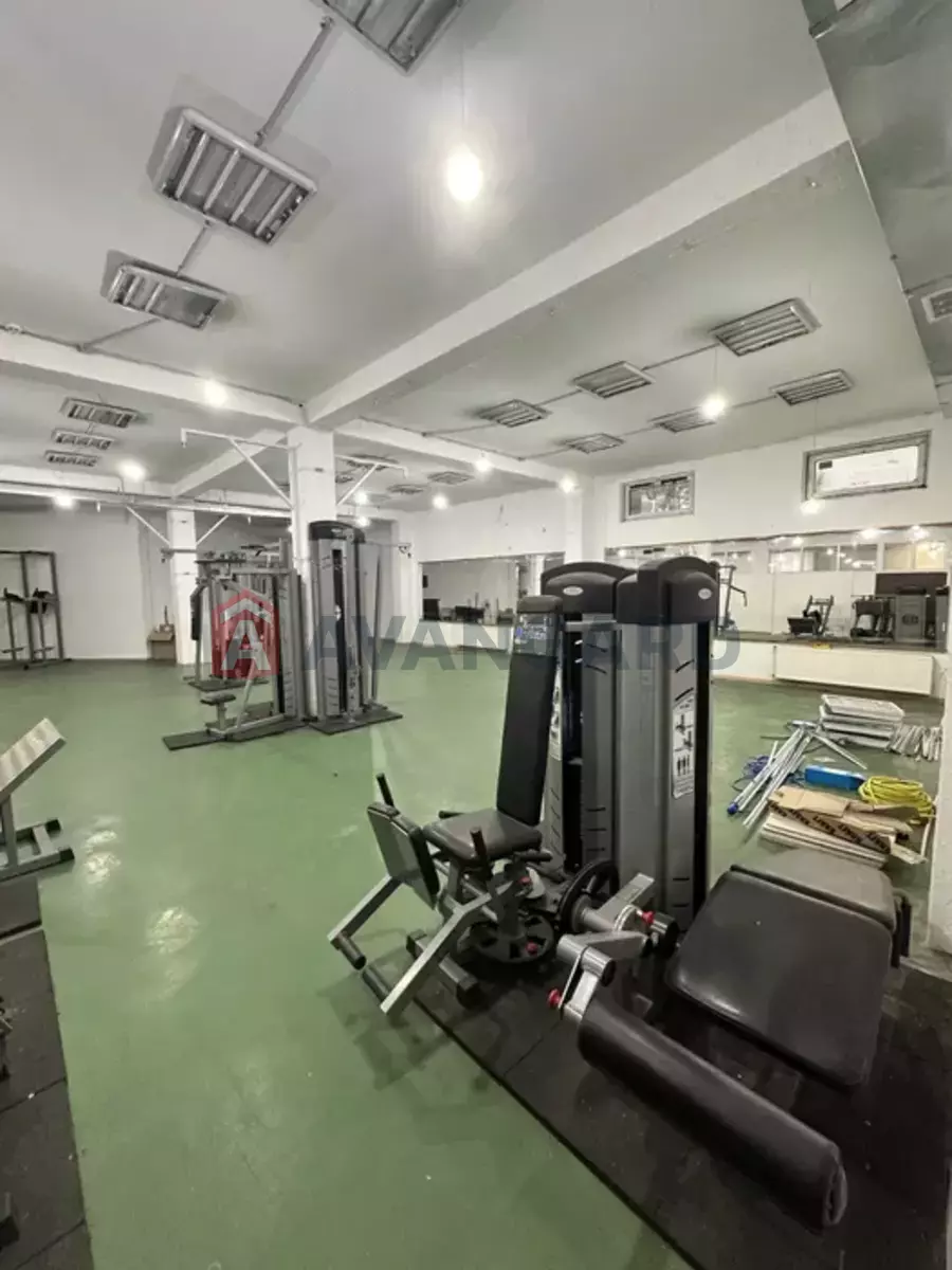 ���������� �����, 50 ��.�. ���� 13