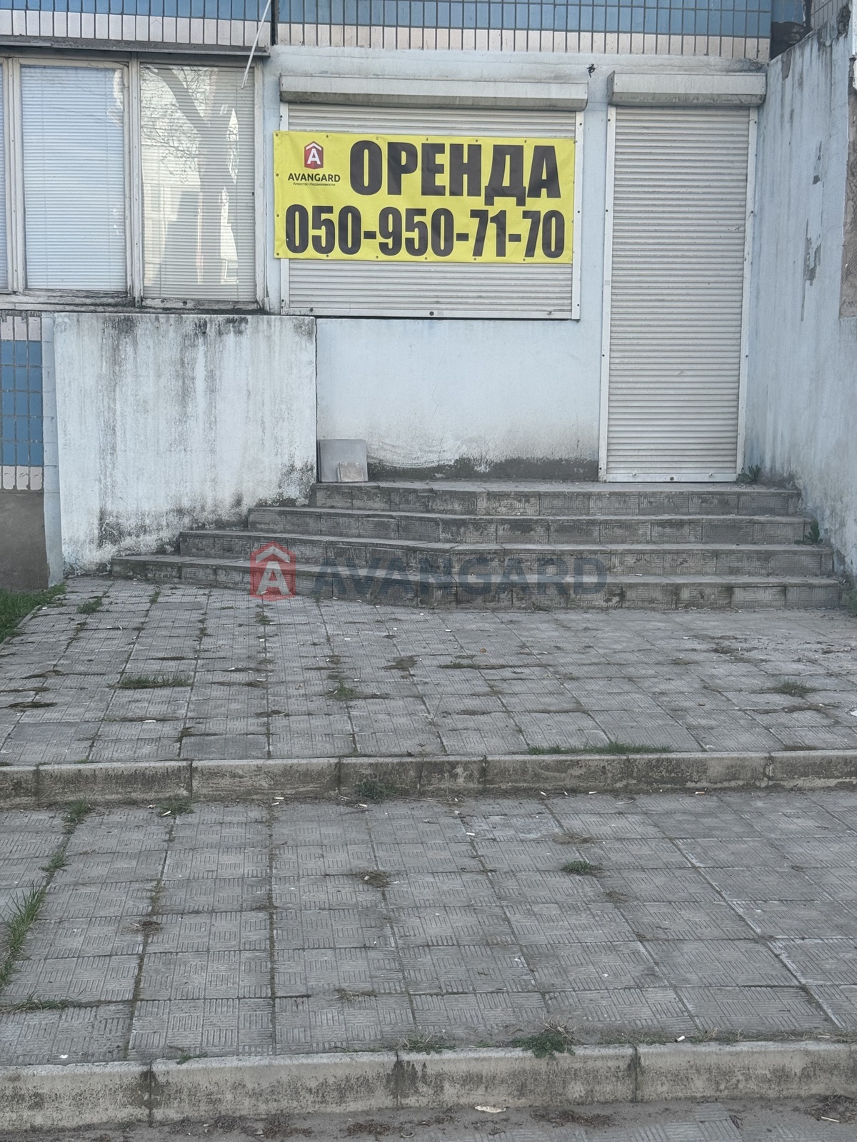 �������� �������, ����, ���, ��������, ����� �����, 71 ��.�. ���� 1