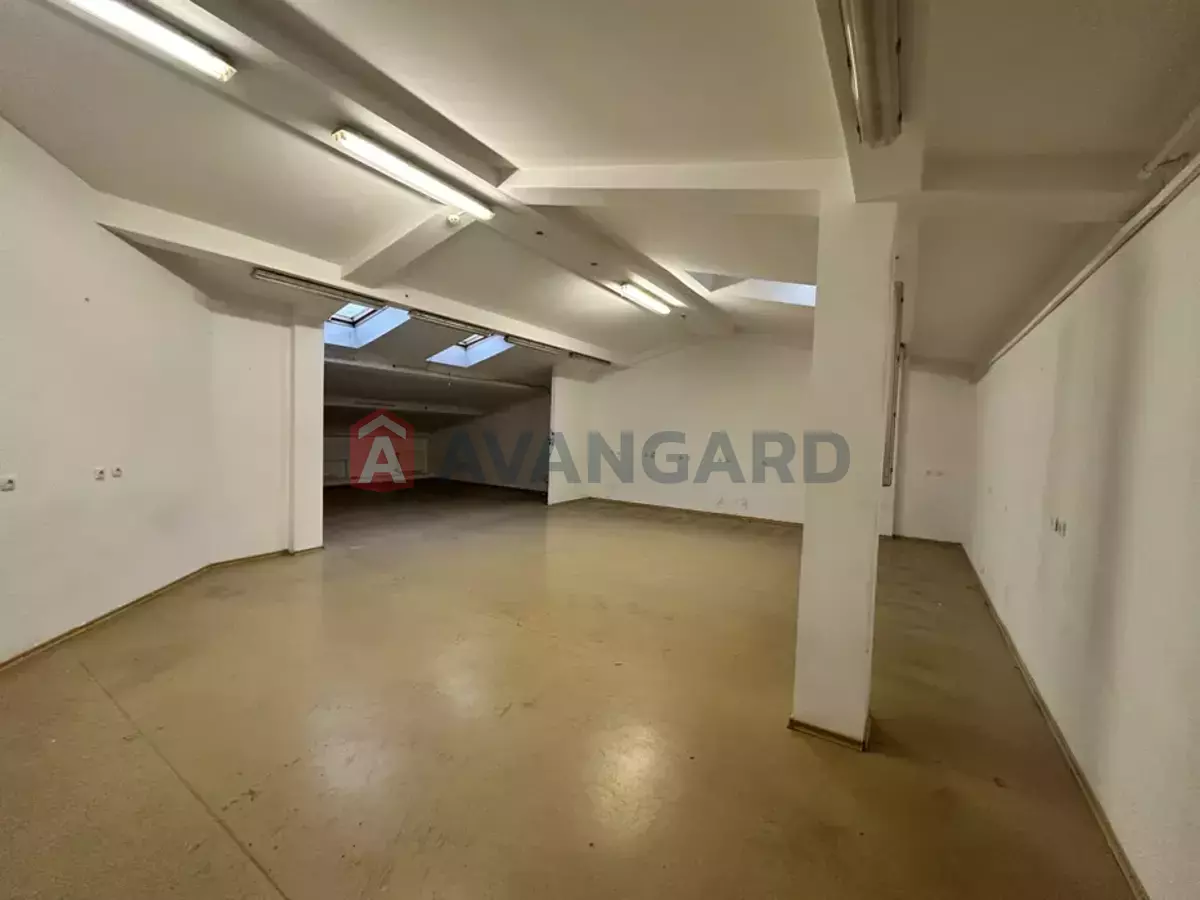 ���������� �����, 50 ��.�. ���� 1