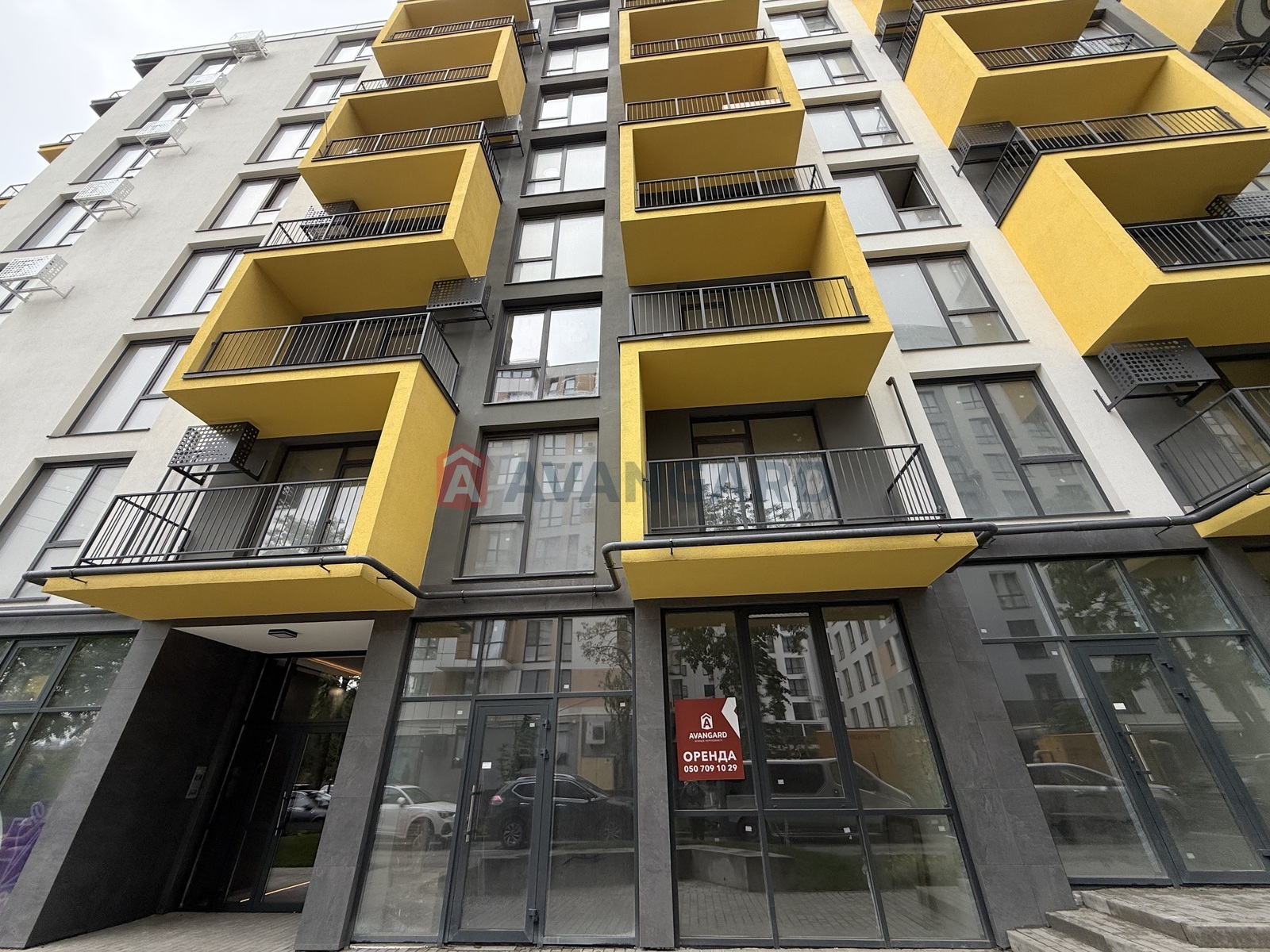 ���������� �����, ����, ���, ��������, ����� ������, 84 ��.�. ���� 22