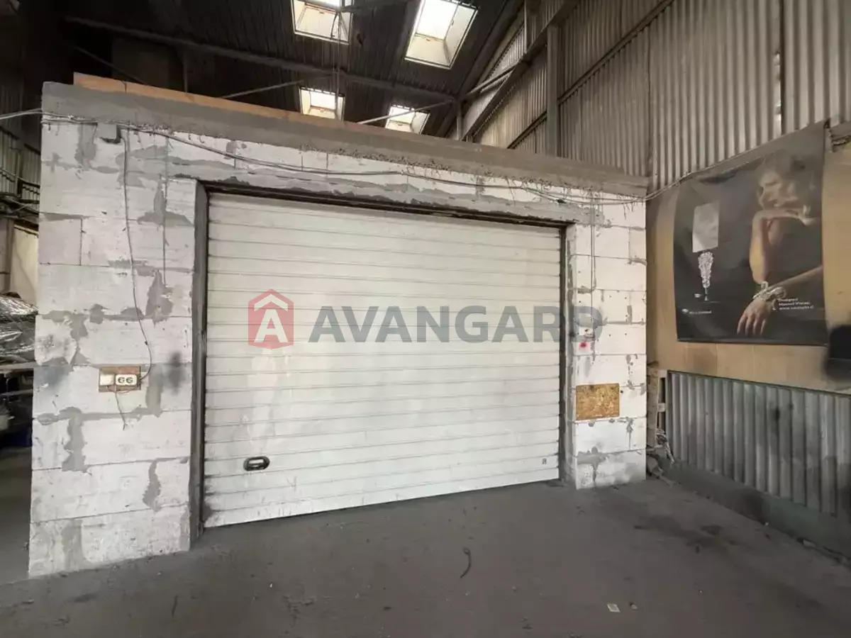 ���������� �����, 225 ��.�. ���� 12