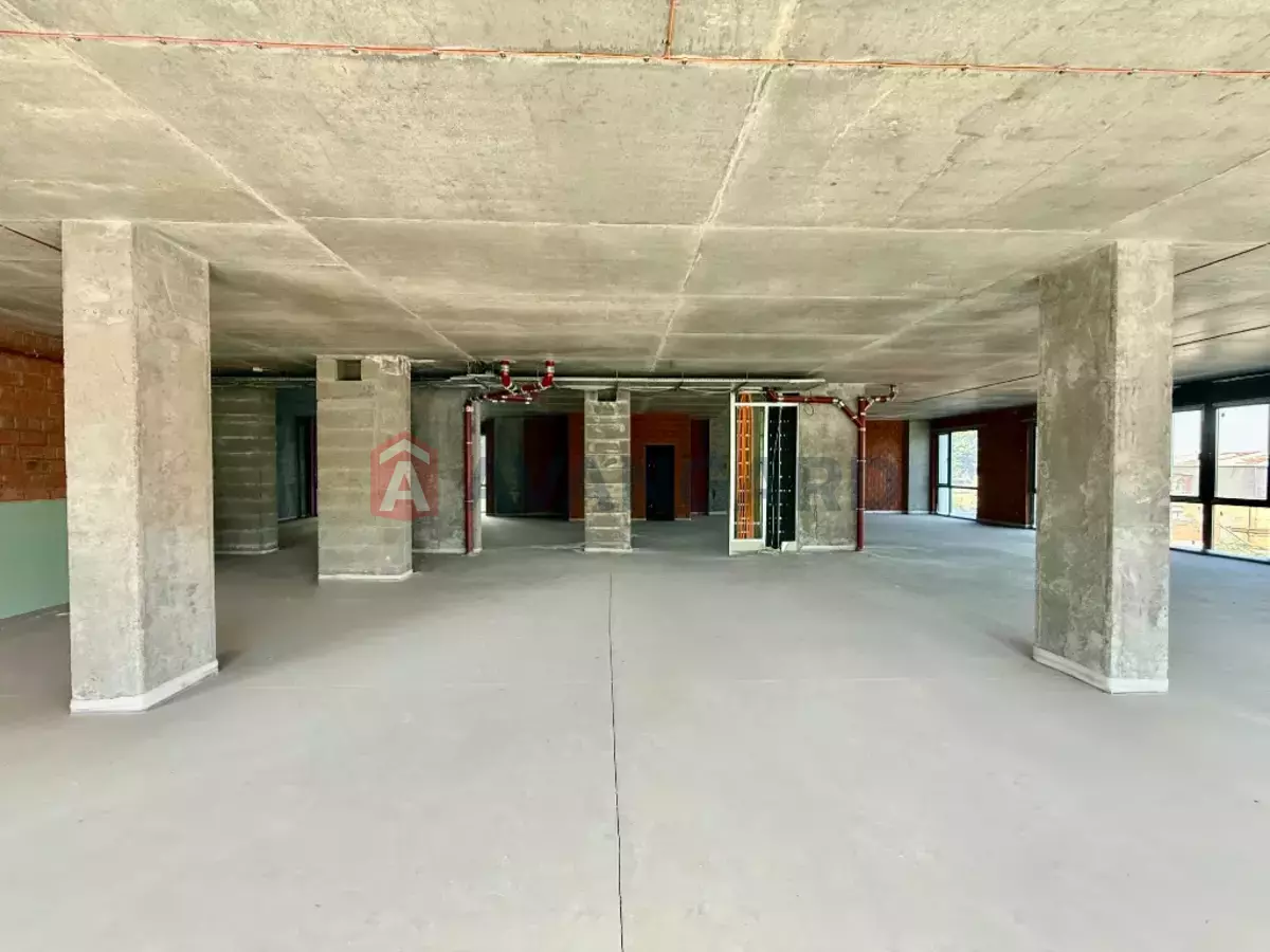 �������� �������, 292 ��.�. ���� 6