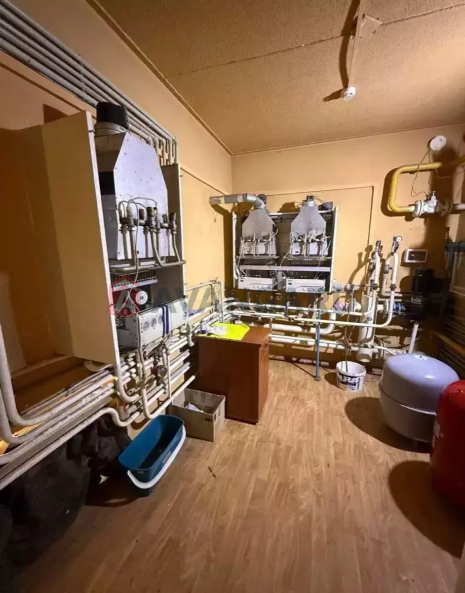 �������� �������, 1567 ��.�. ���� 14