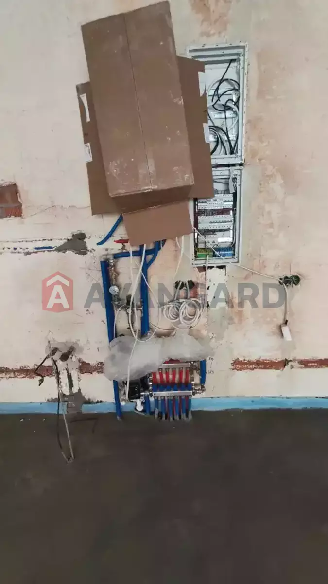 ���������� �����, 56 ��.�. ���� 6