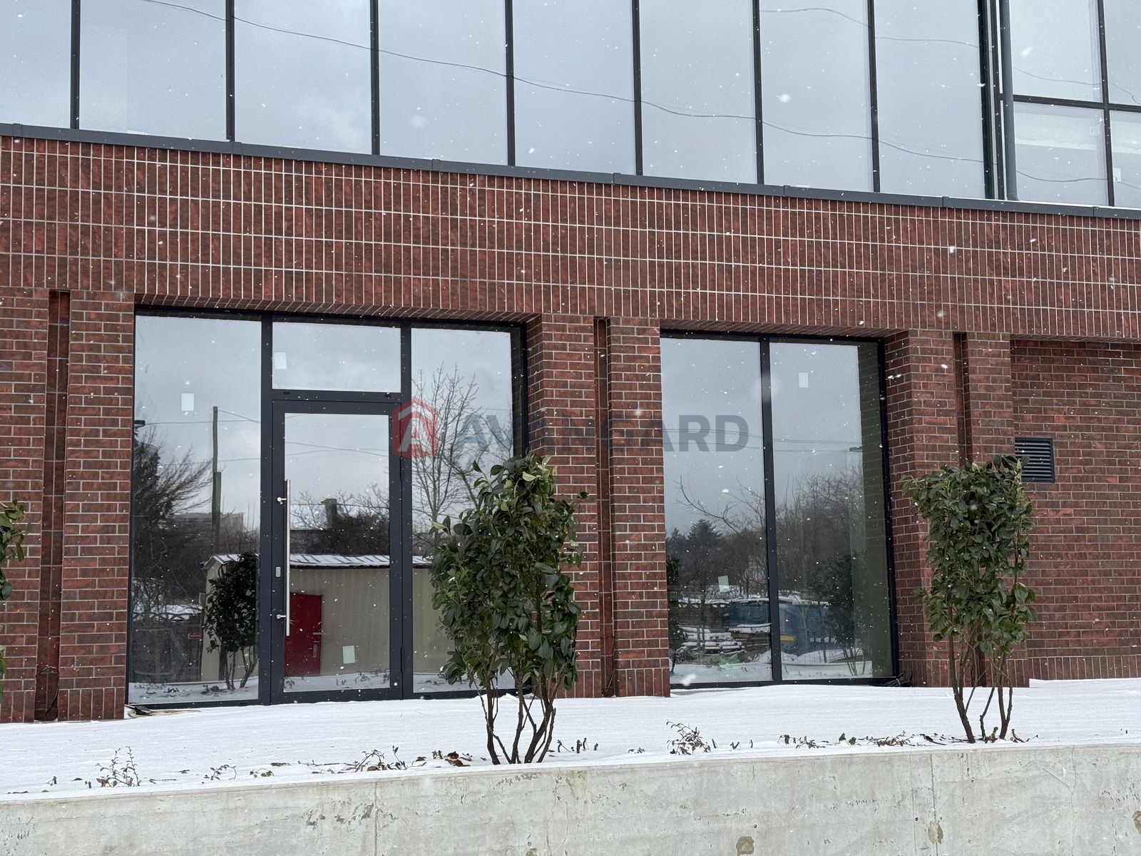 ���������� �����, ����, ���, ��������, ����� ������, 80 ��.�. ���� 7