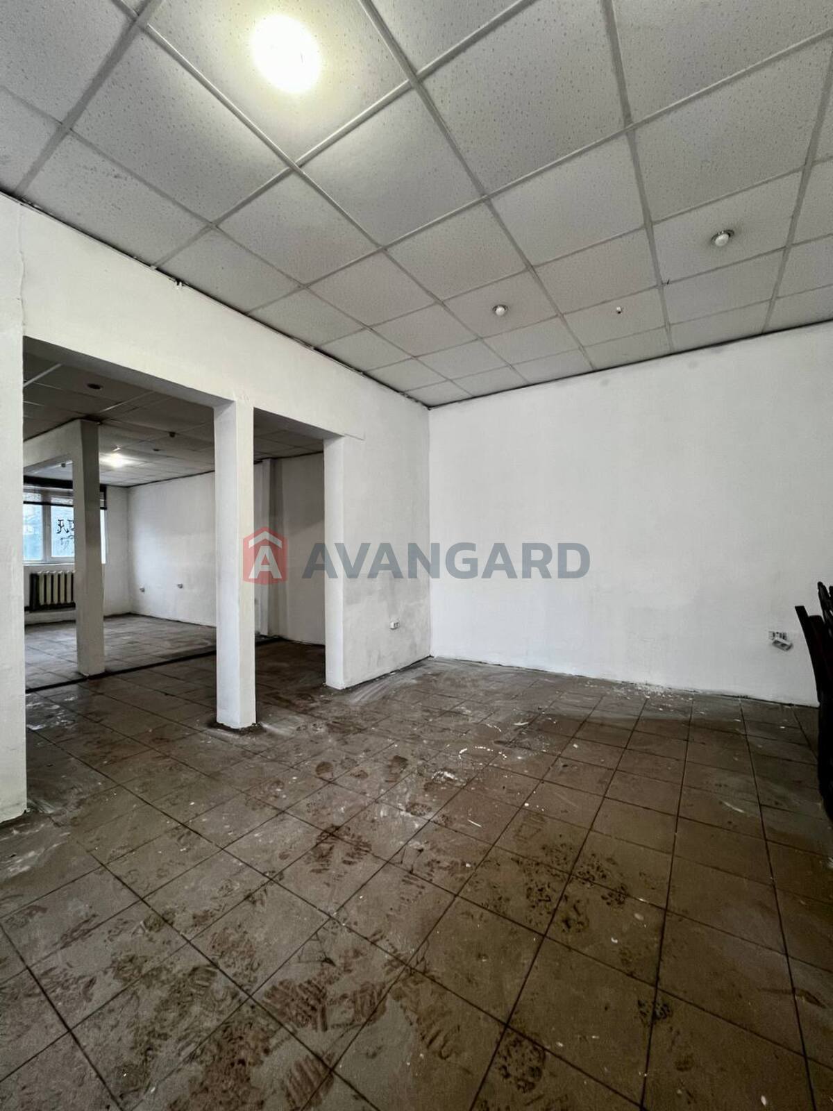 �������� �������, ����, ���, ��������, ����� �����, 60 ��.�. ���� 11