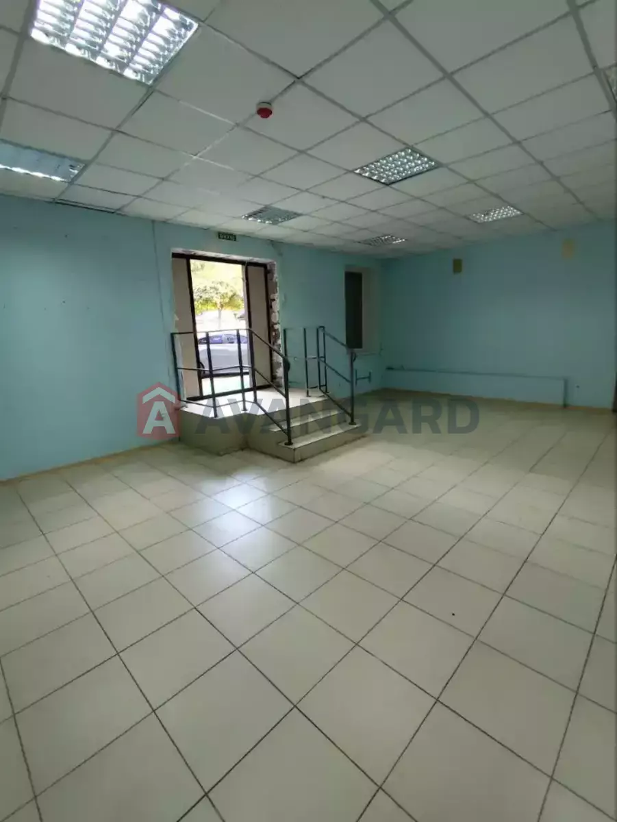 �������� �������, 94 ��.�. ���� 5