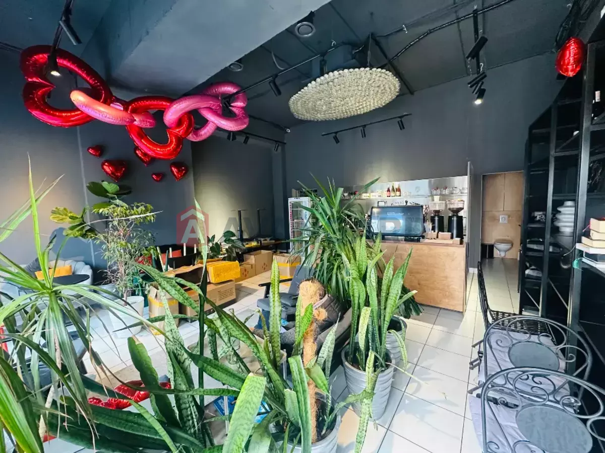 ���������� �����, 55 ��.�. ���� 4