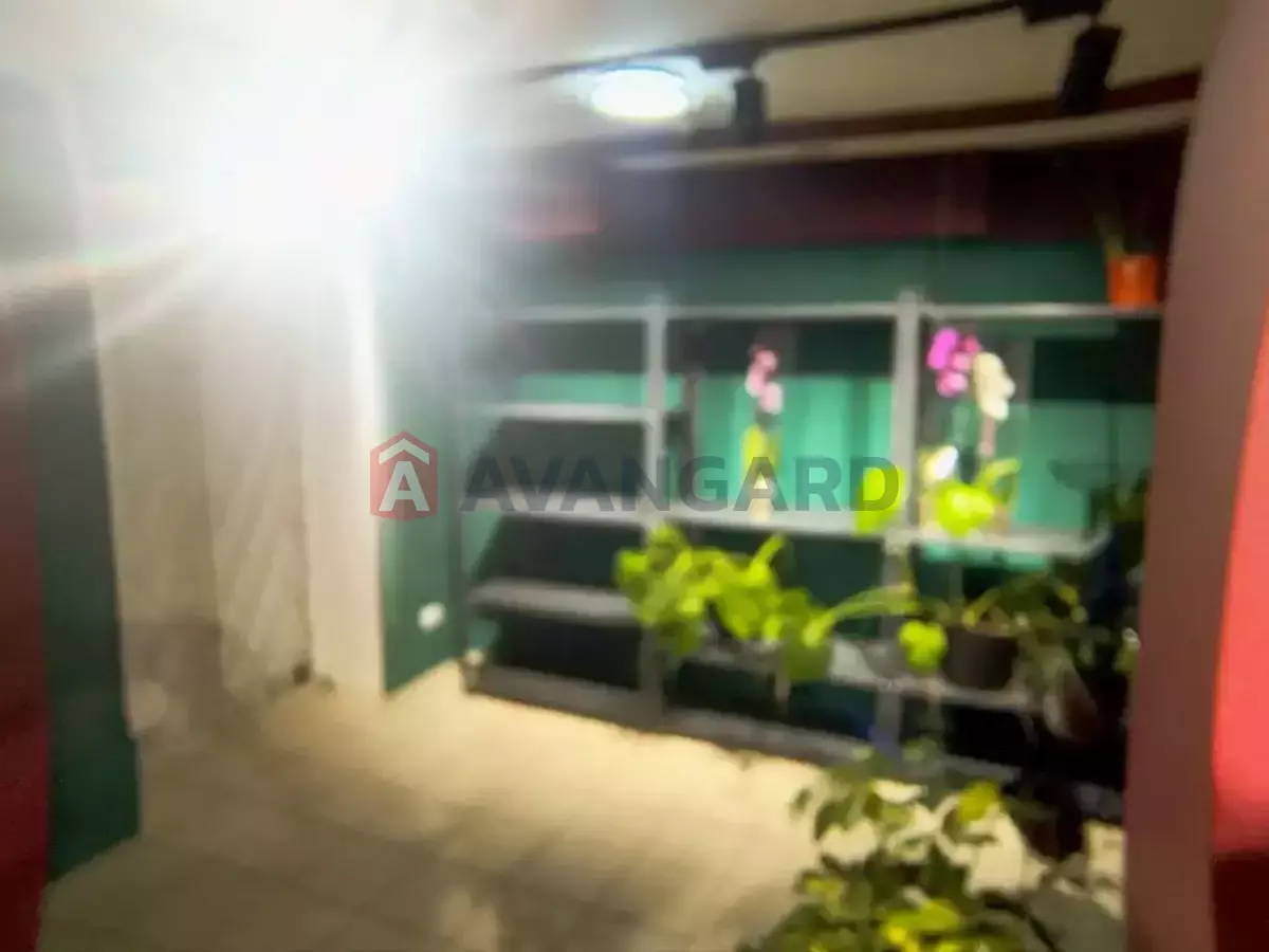 ���������� �����, 73 ��.�. ���� 4