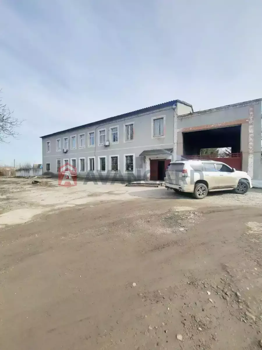 ���������� �����, 80 ��.�. ���� 5