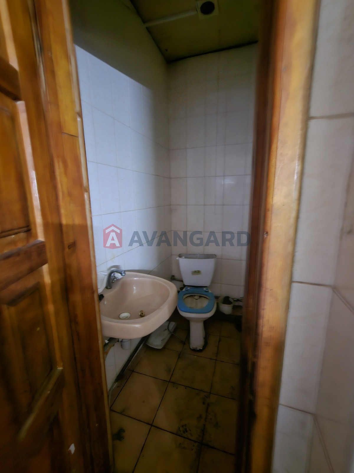 �������� �������, ����, ���, ��������, 100 ��.�. ���� 14