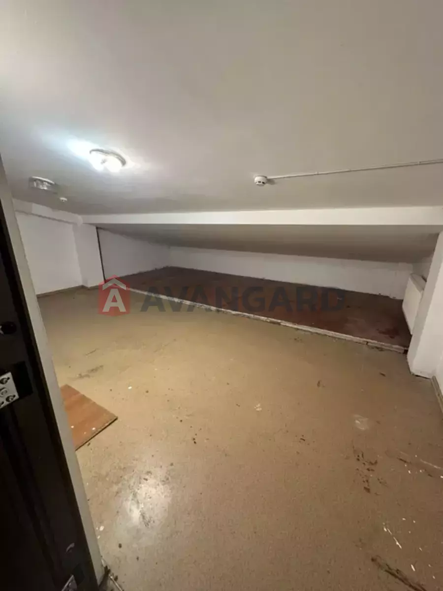 ���������� �����, 50 ��.�. ���� 8