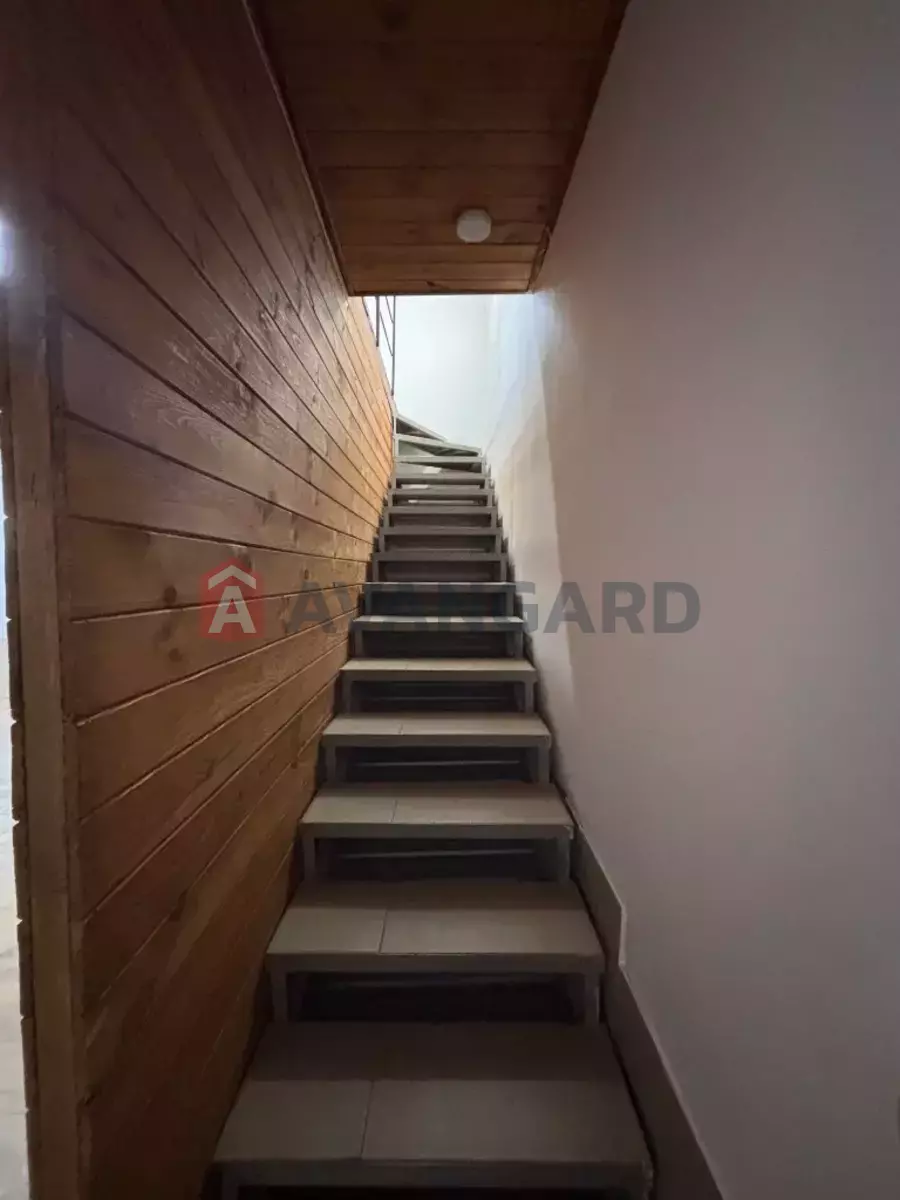 ���������� �����, 100 ��.�. ���� 8