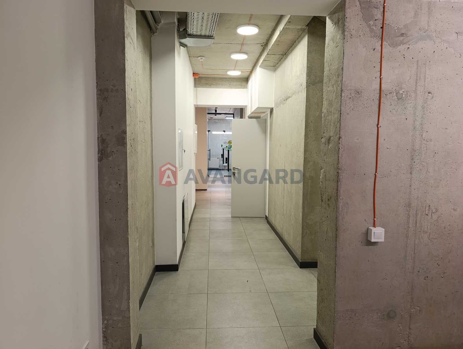 ����� ������, 205 ��.�. ���� 8