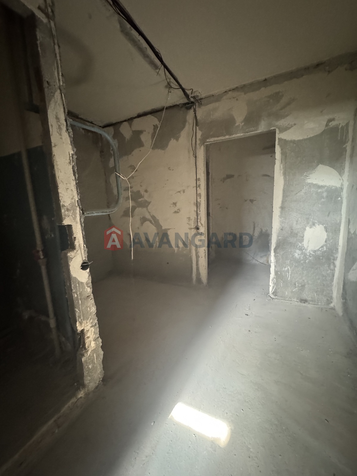 �������� �������, ����, ���, ��������, ����� �����, 71 ��.�. ���� 13