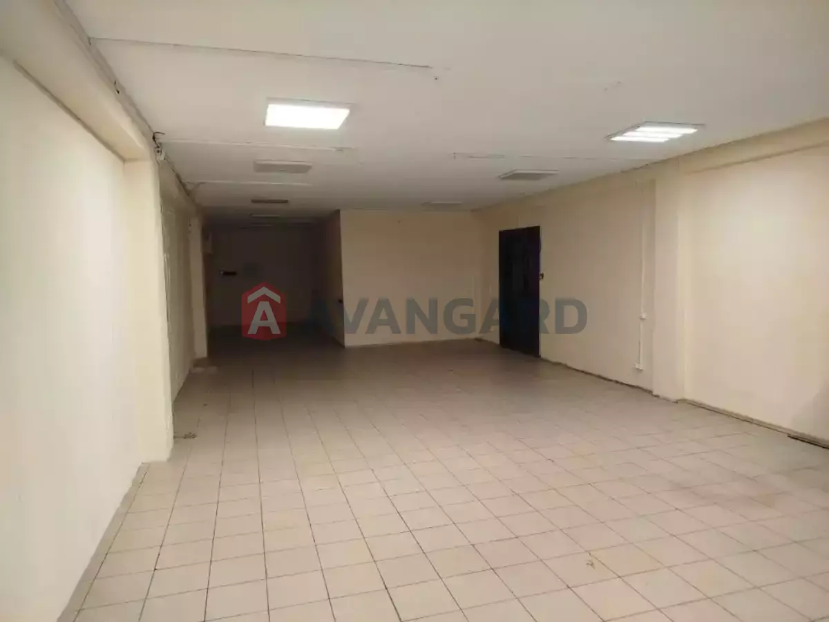 ���������� �����, 230 ��.�. ���� 2