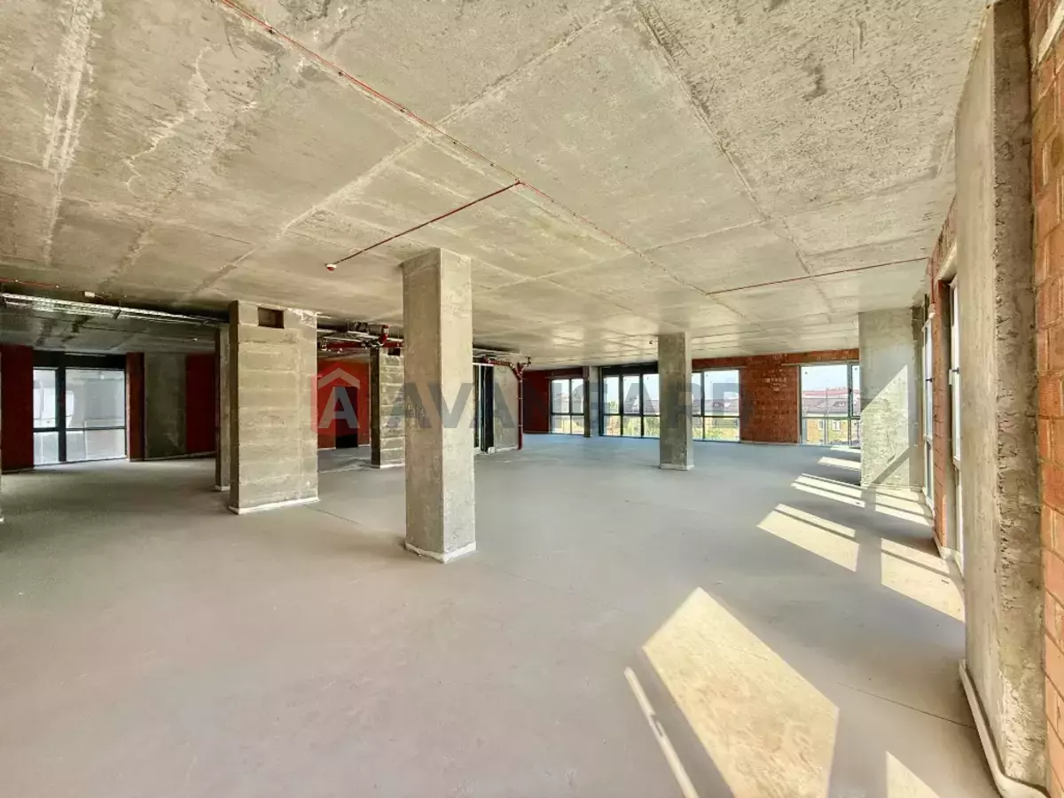 �������� �������, 292 ��.�. ���� 5