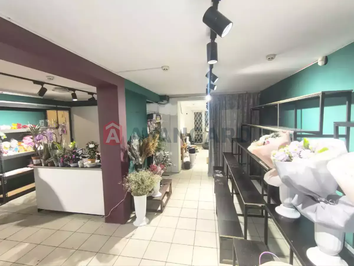 ���������� �����, 73 ��.�. ���� 3