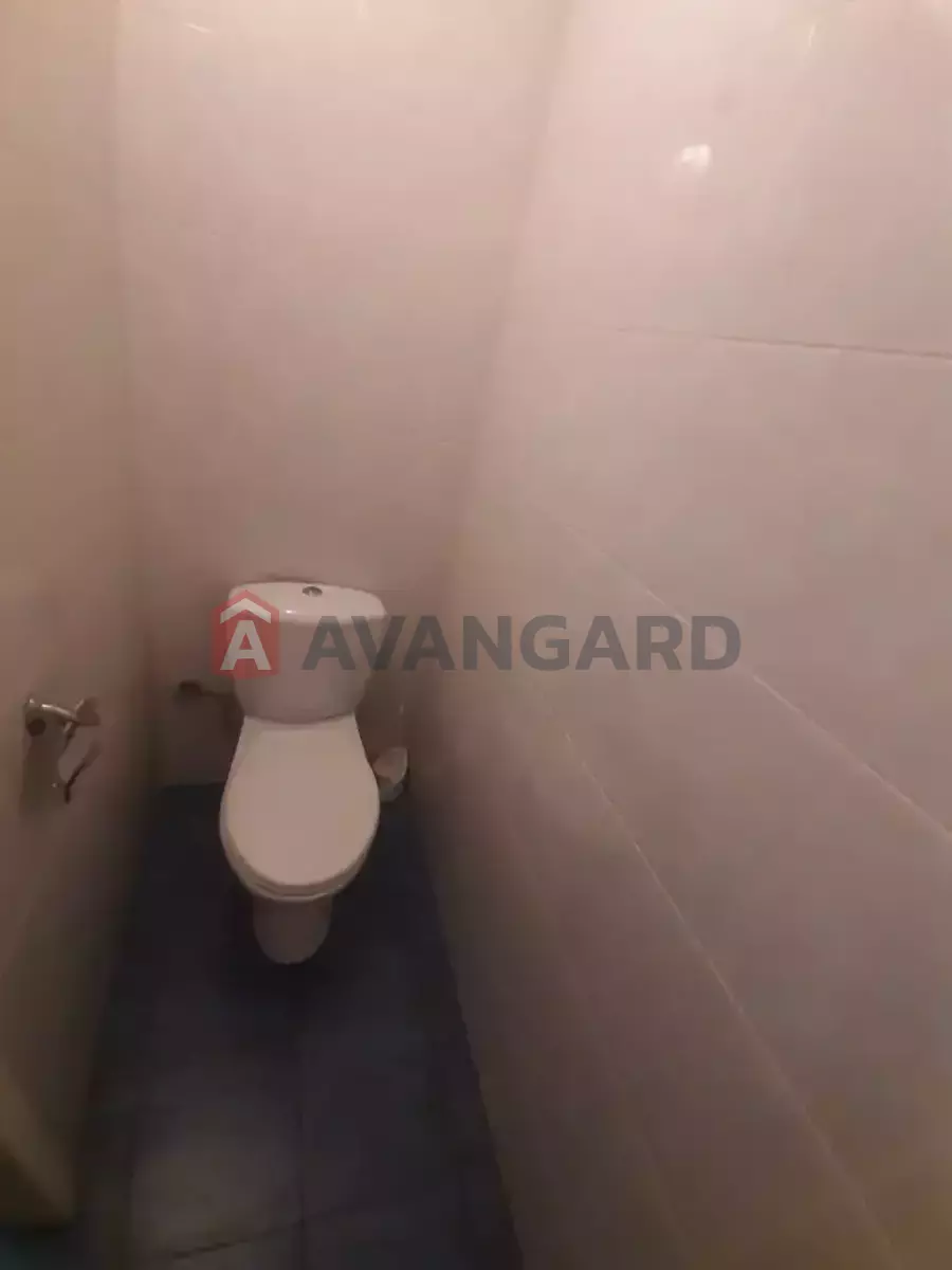 �������� �������, 100 ��.�. ���� 10