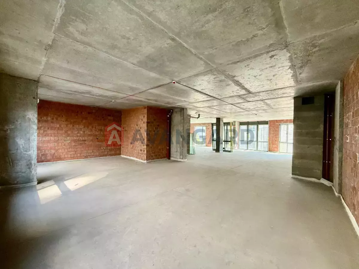 ���������� �����, 240 ��.�. ���� 17