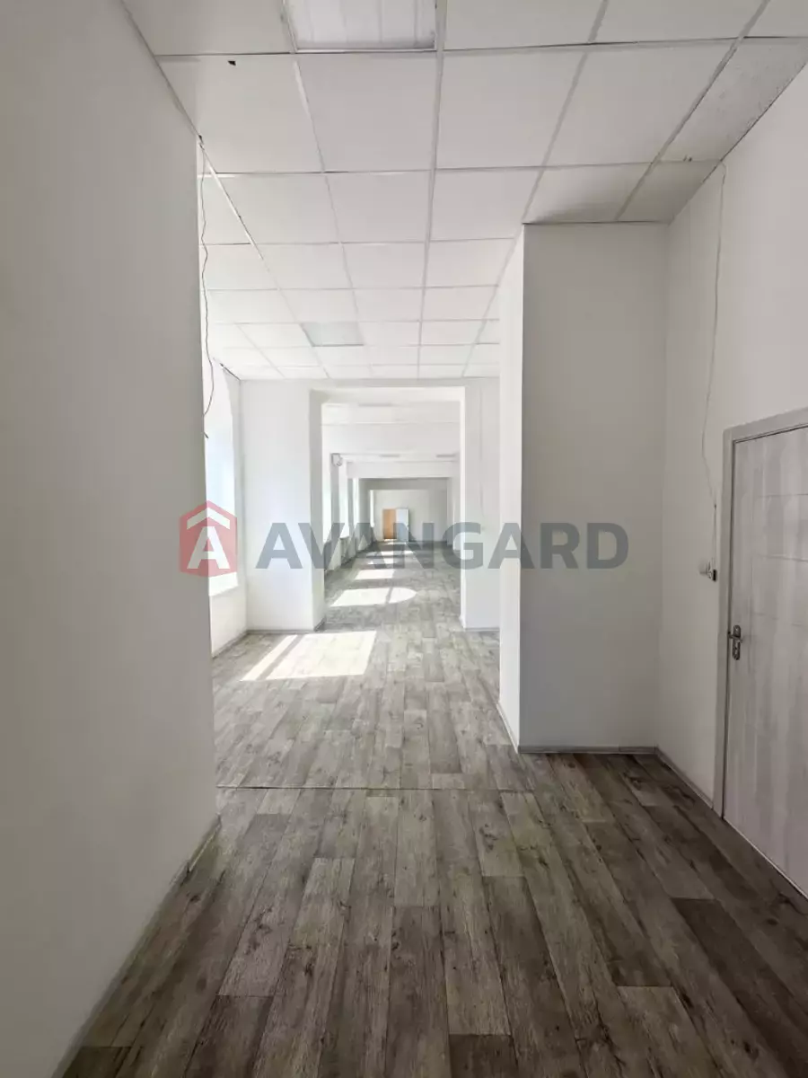 ���������� �����, 315 ��.�. ���� 6