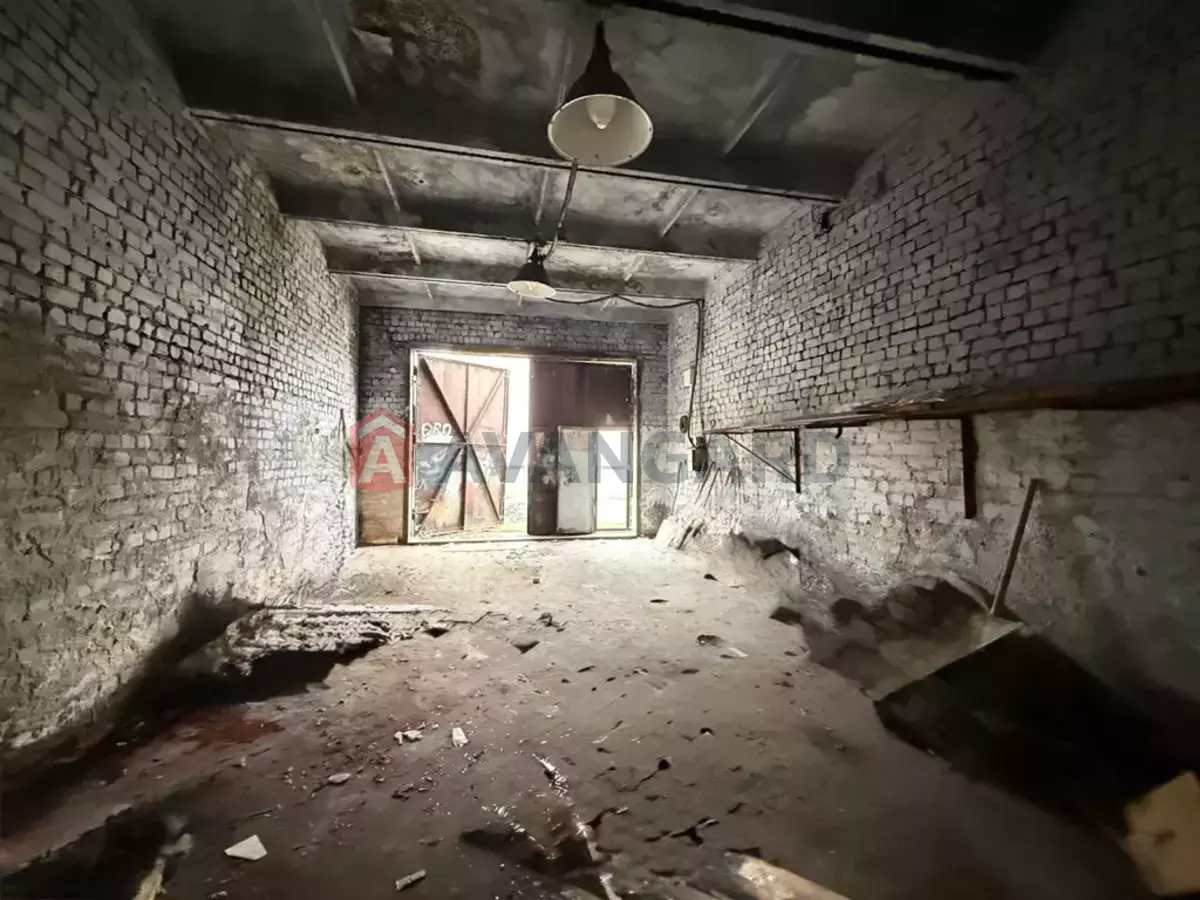 ���������� �����, 98 ��.�. ���� 9