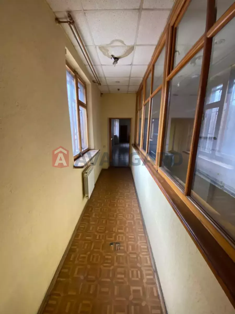 ���������� �����, 850 ��.�. ���� 12