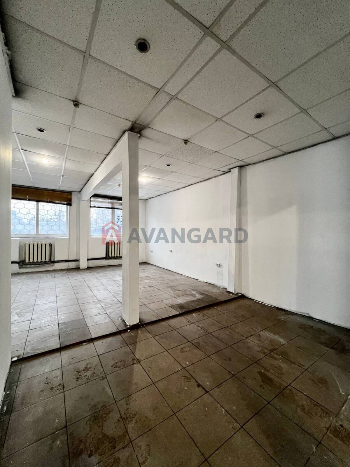 �������� �������, ����, ���, ��������, ����� �����, 60 ��.�. ���� 5