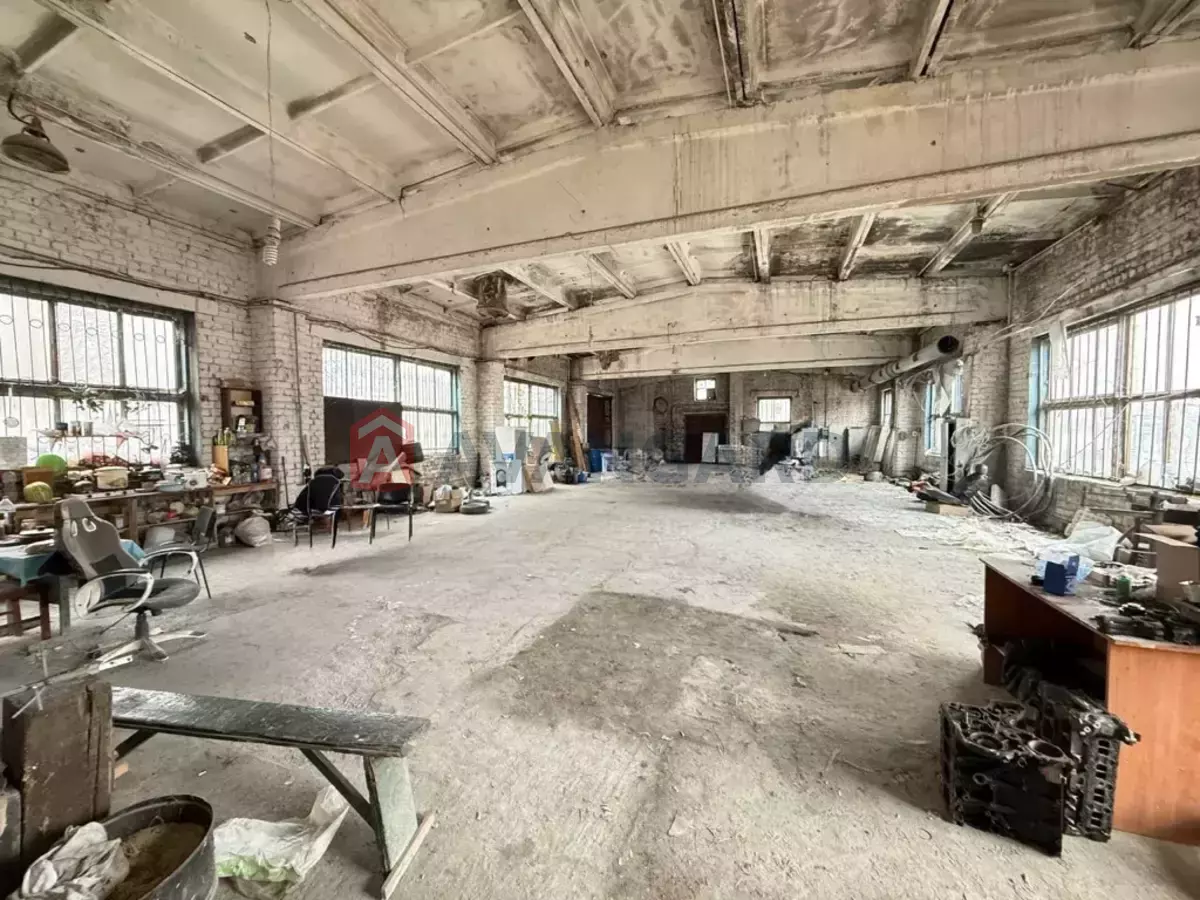 ���������� �����, 350 ��.�. ���� 5