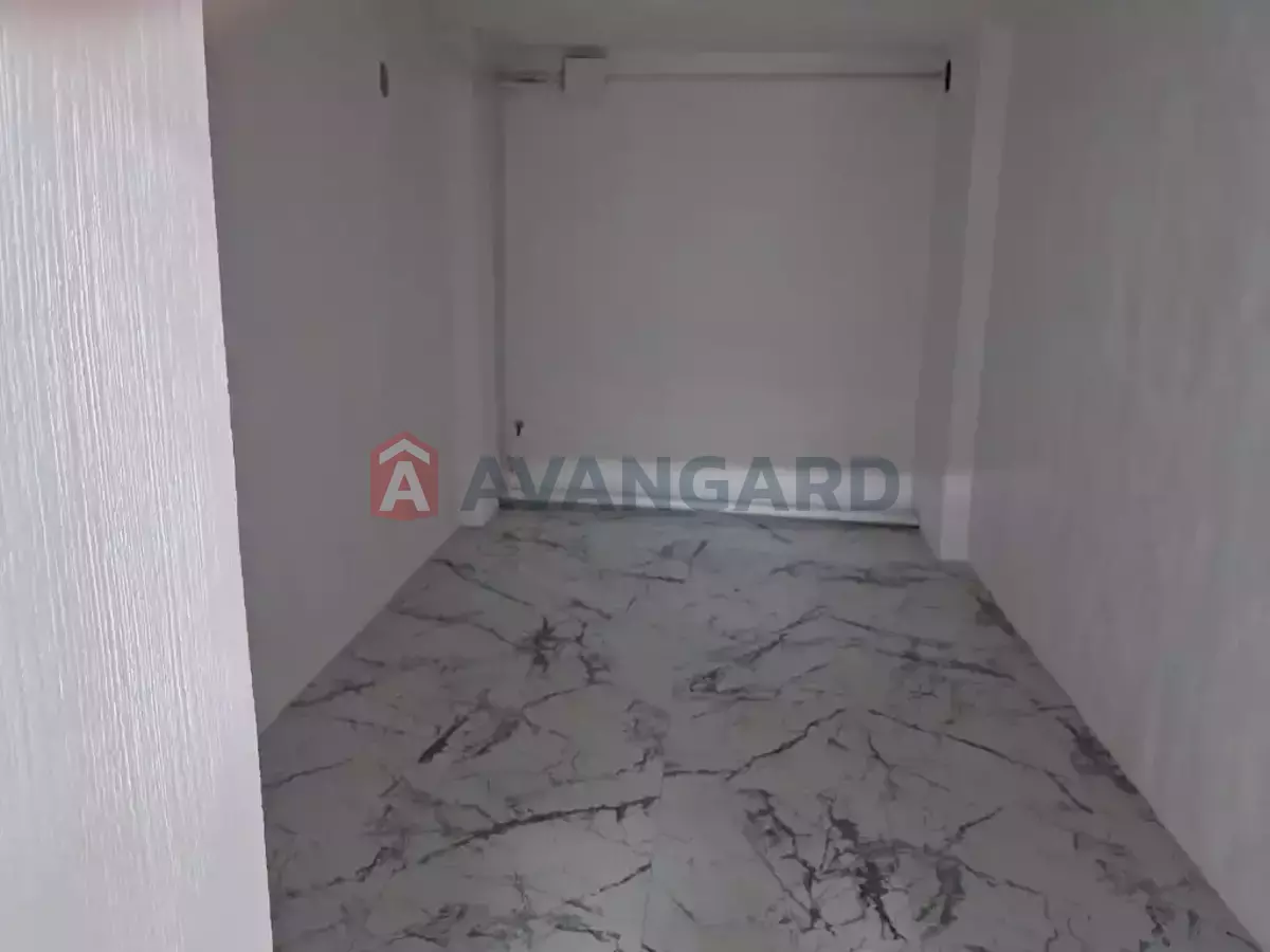 �������� �������, 255 ��.�. ���� 18