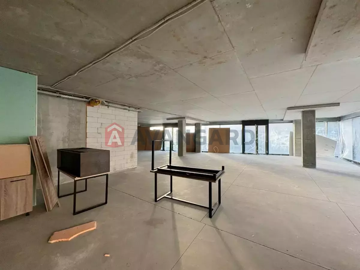 ����, ���, ��������, 428 ��.�. ���� 13