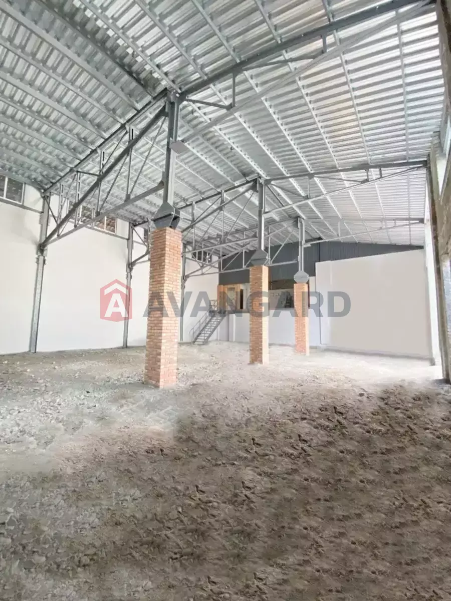 �������� �������, 400 ��.�. ���� 9