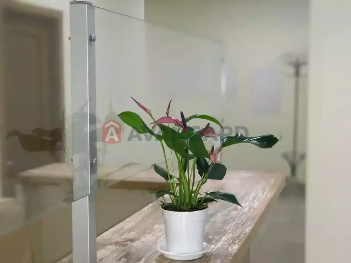 ����� ������, 22 ��.�. ���� 3