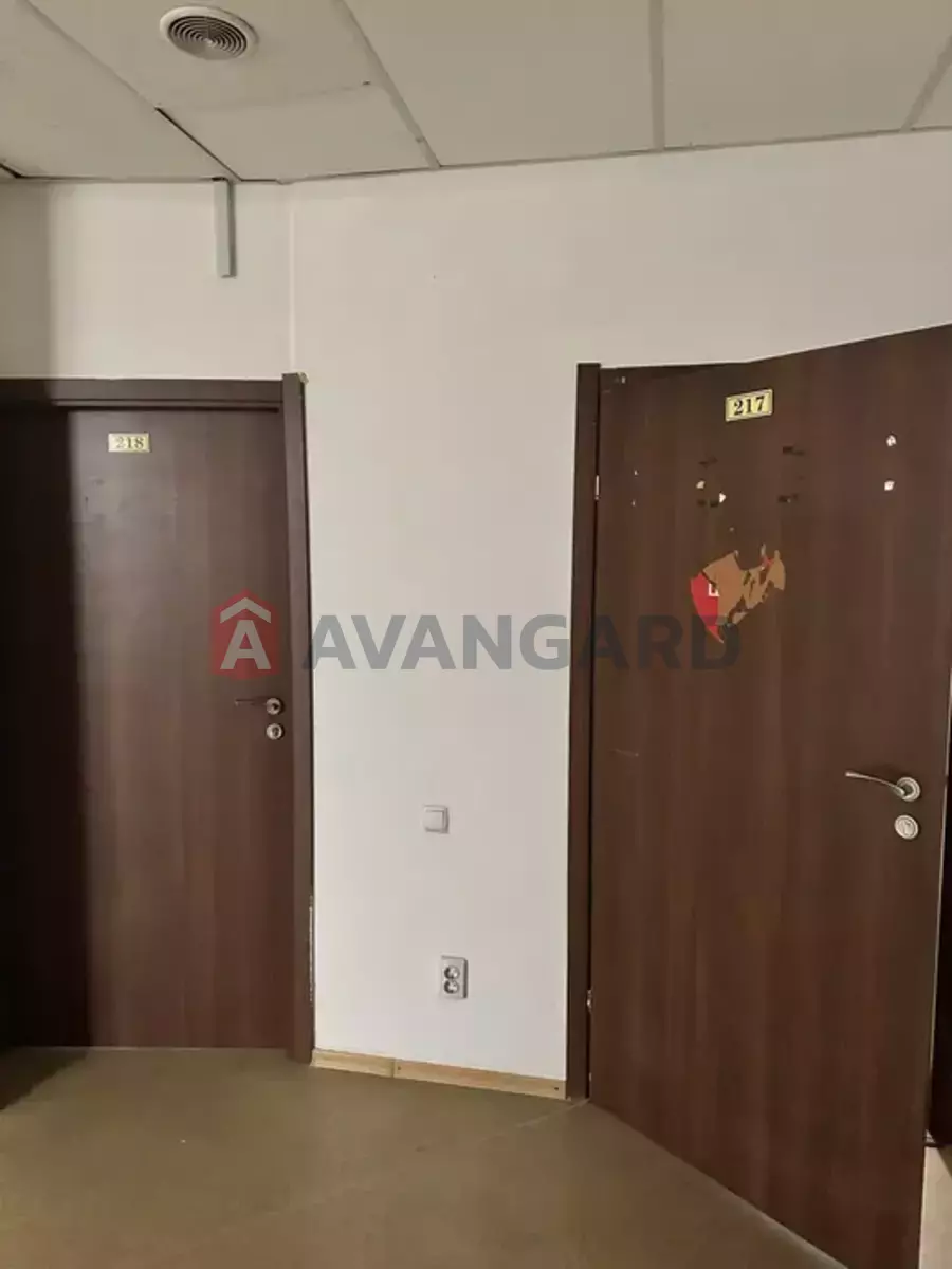 ���������� �����, 50 ��.�. ���� 11