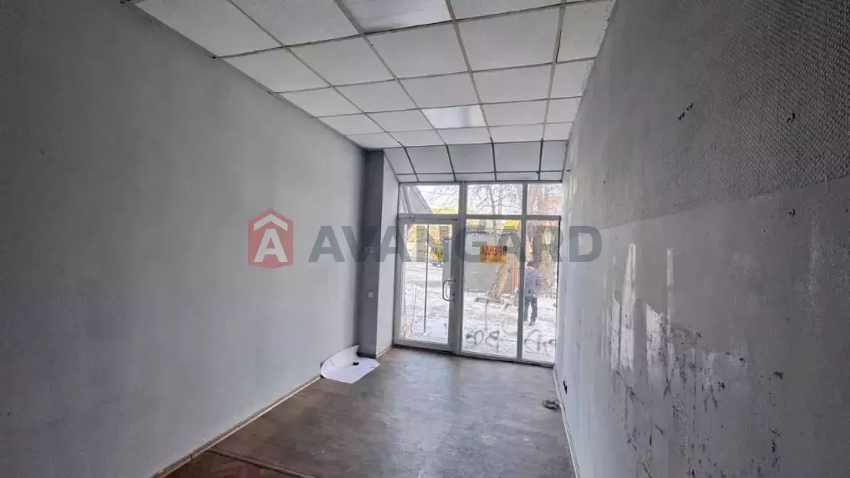 �������� �������, 19 ��.�. ���� 7