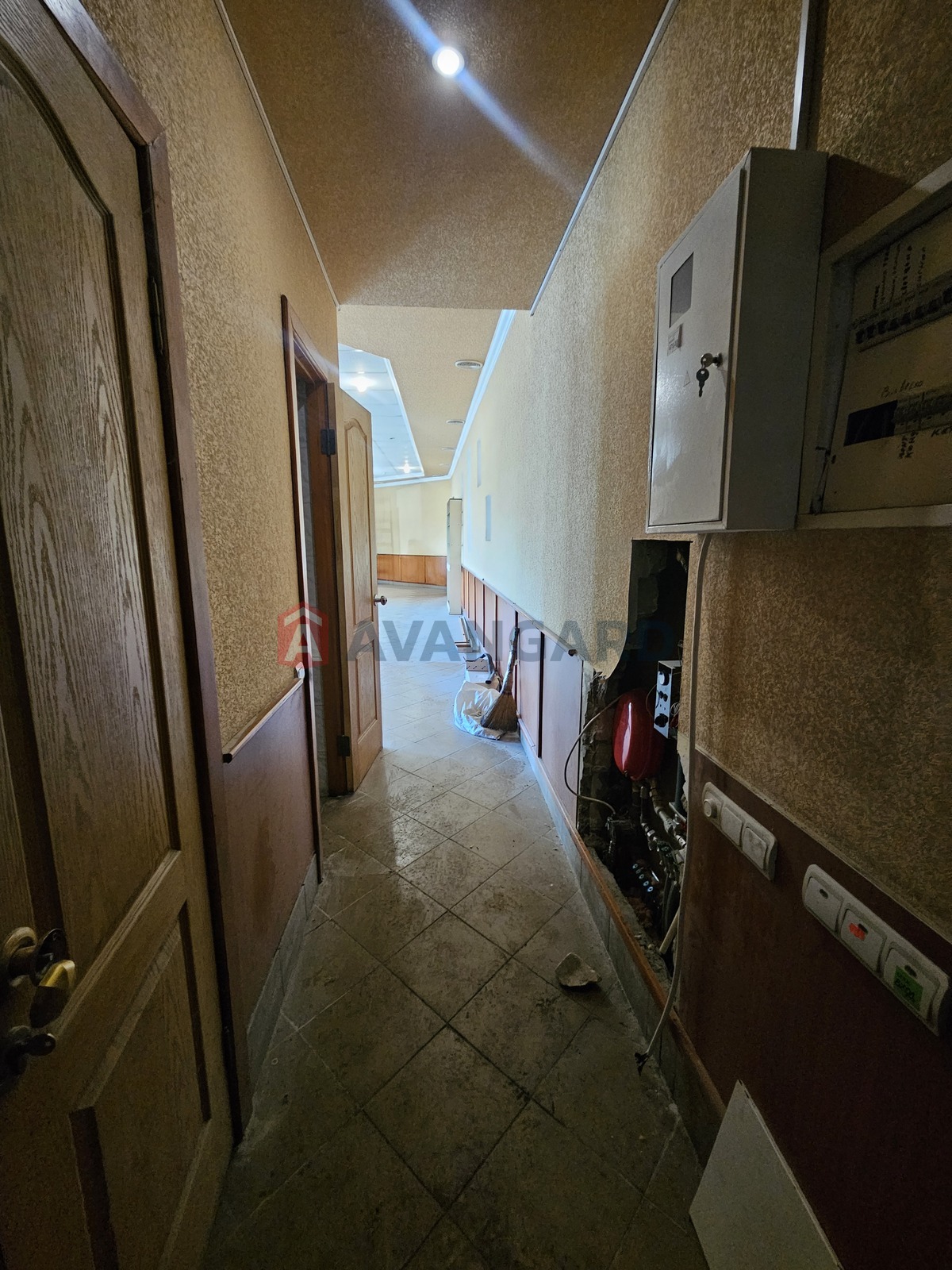 �������� �������, ����, ���, ��������, 100 ��.�. ���� 13