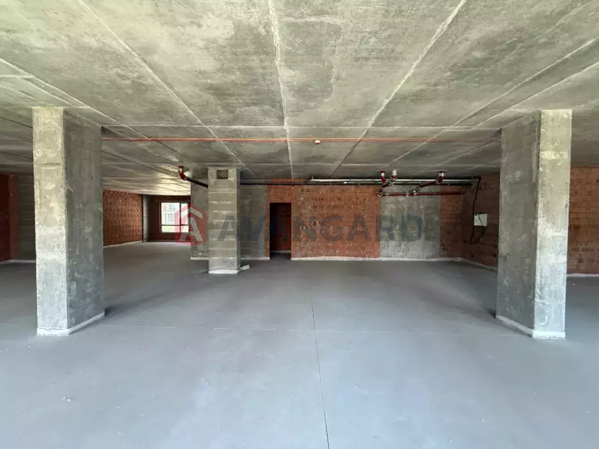 ���������� �����, 240 ��.�. ���� 7