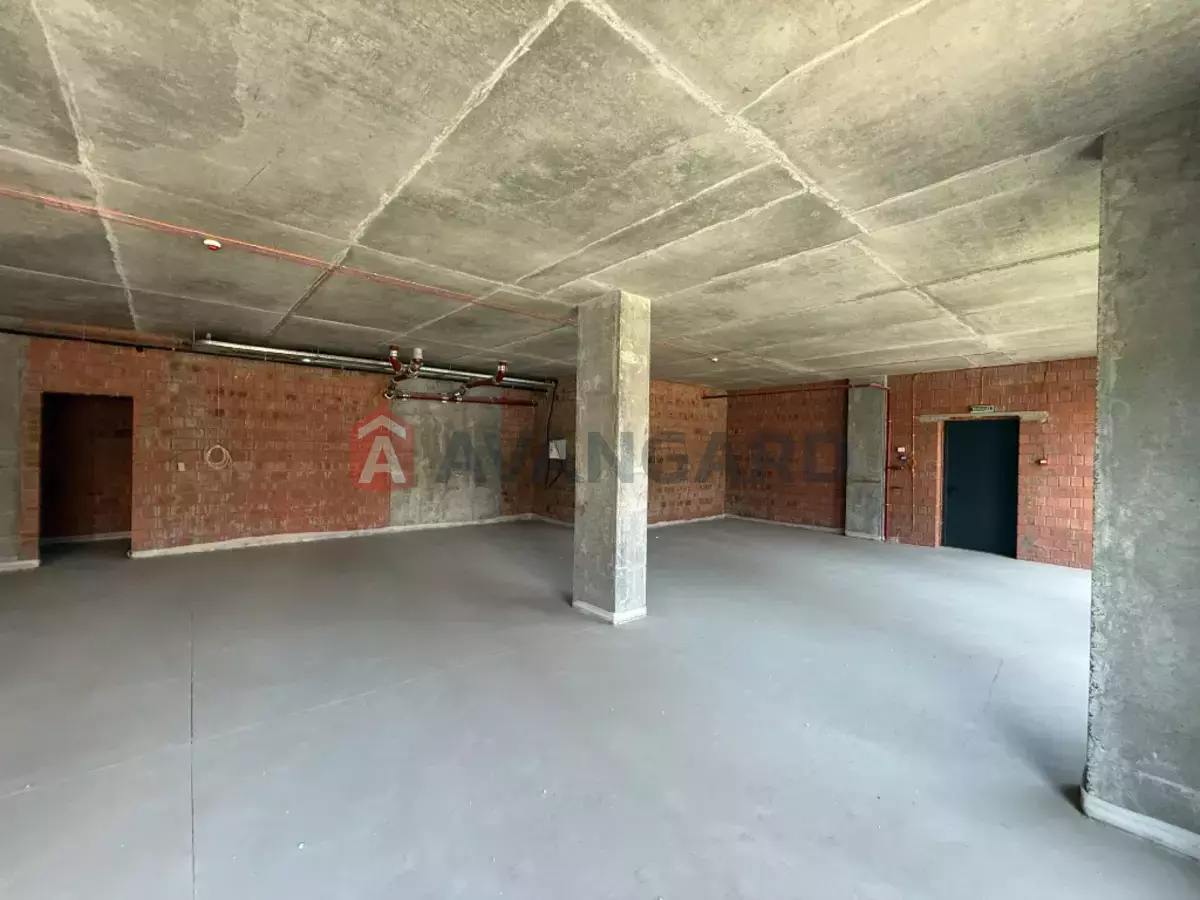 ���������� �����, 240 ��.�. ���� 8