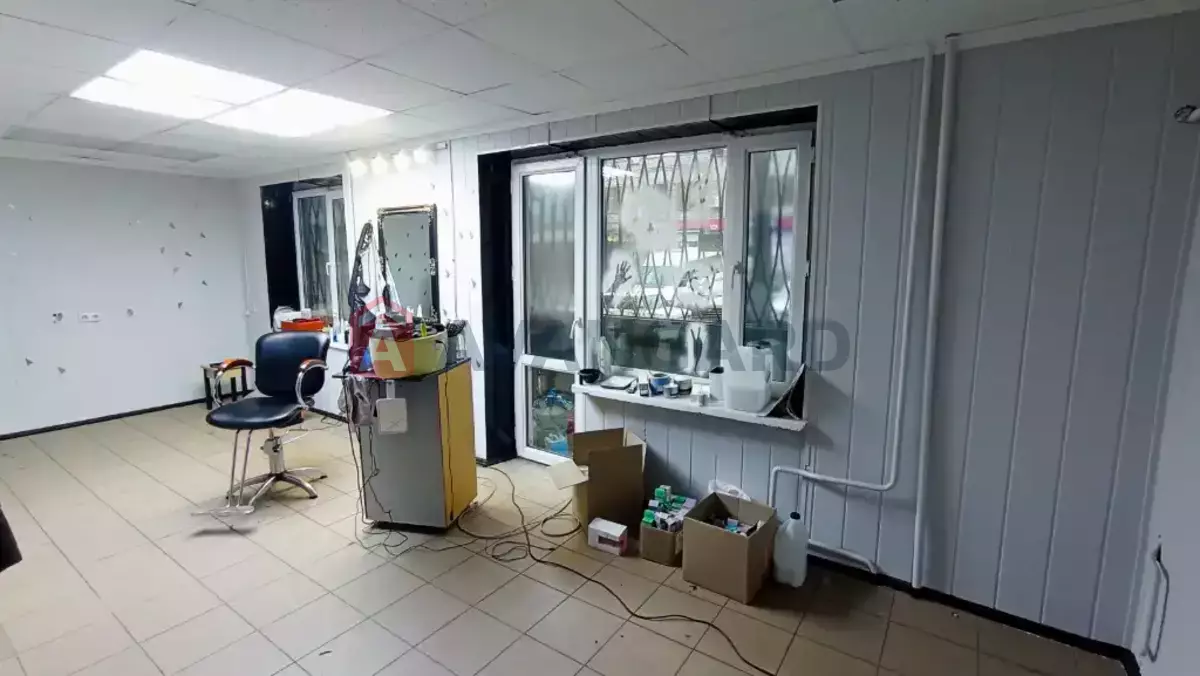 ����� �����, 33 ��.�. ���� 2