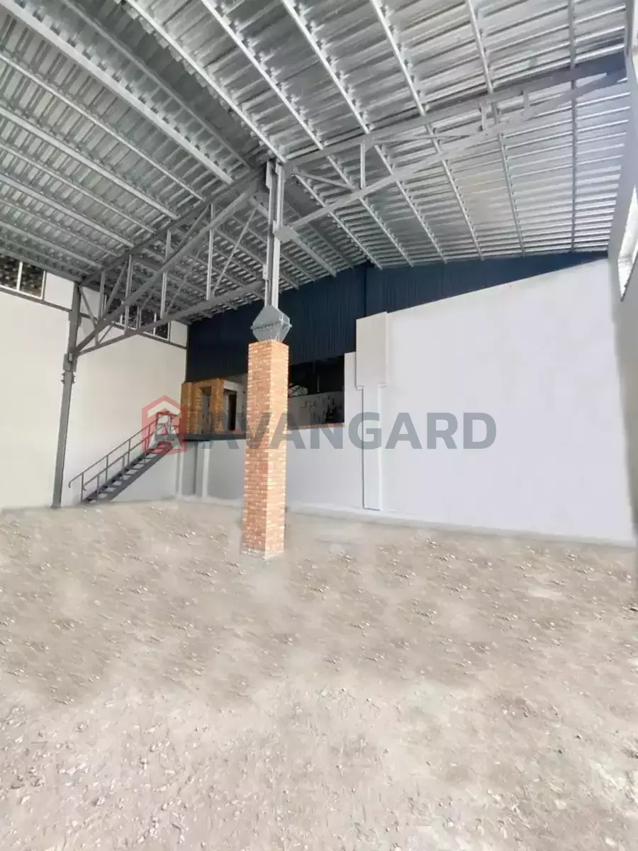 �������� �������, 400 ��.�. ���� 5