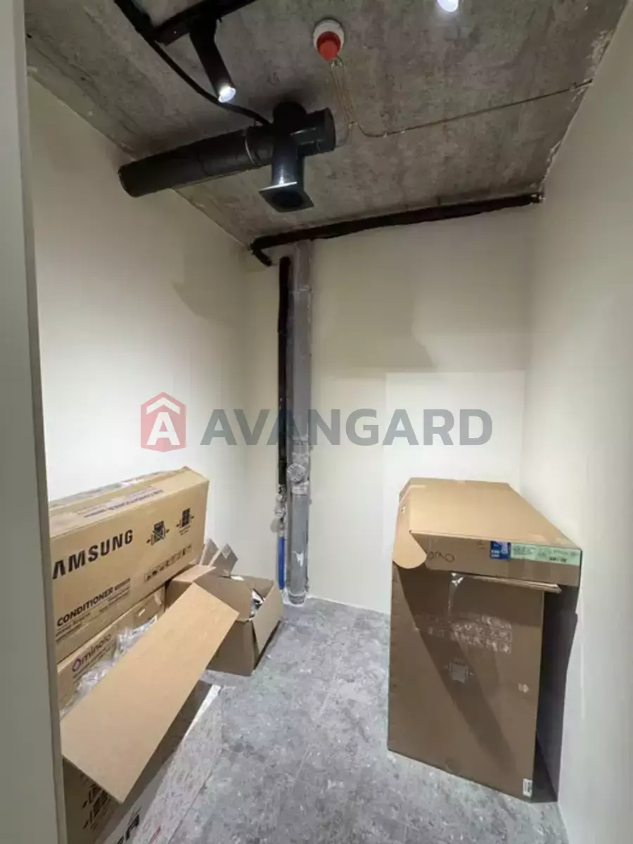 �������� �������, 48 ��.�. ���� 19