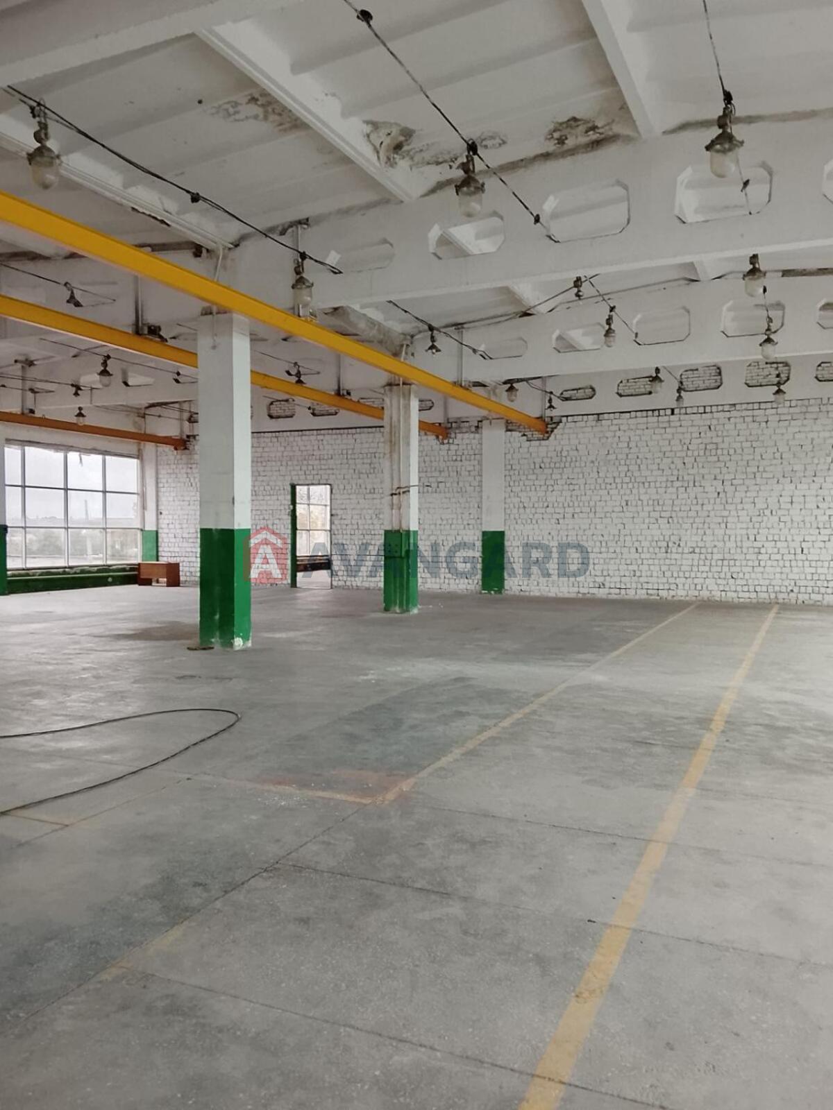 1250 кв.м. фото 2 1250 кв.м. фото 2