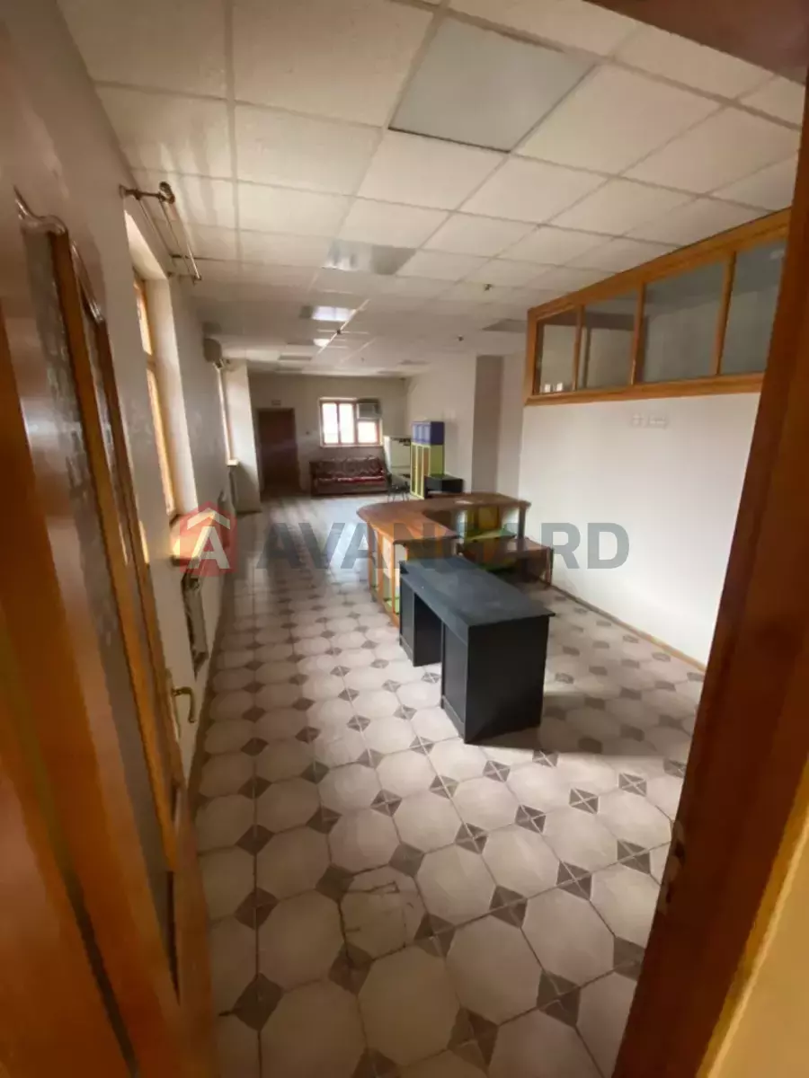 ���������� �����, 850 ��.�. ���� 11